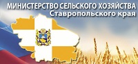 МСХ СК